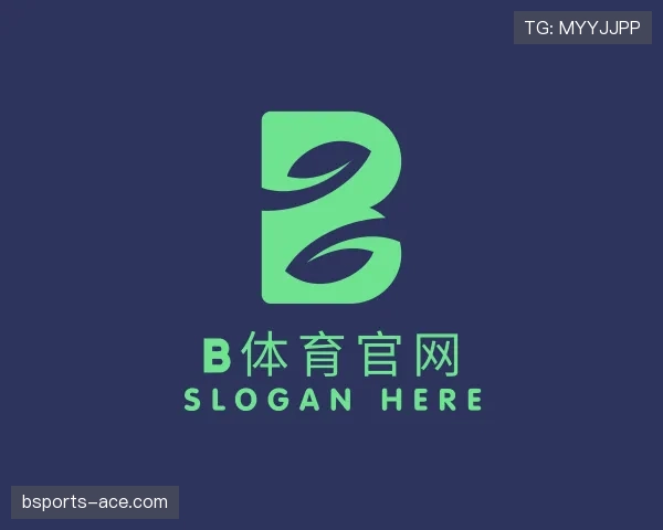 解读B体育